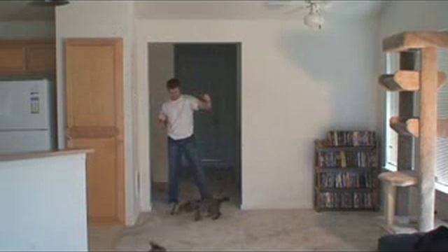 кошки Ашера смотреть онлайн