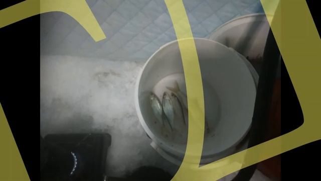 Отчет о рыбалке на Шаблише 30.11.2020 смотреть онлайн