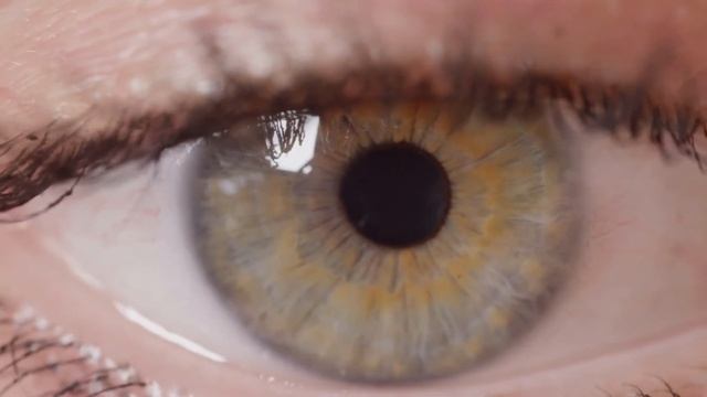 Qu'est ce qui cause une perte de vision soudaine? смотреть онлайн