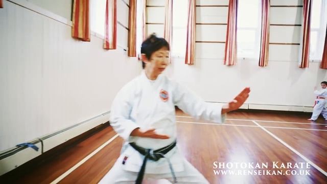 Shotokan Karate - Renseikan Dojo Introduction Video смотреть онлайн