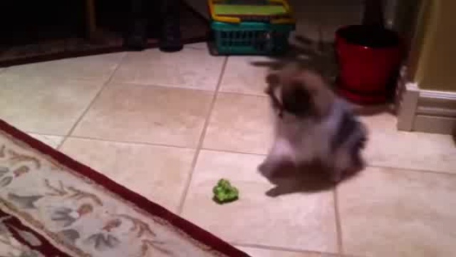 Брокколи – страшный монстр смотреть онлайн