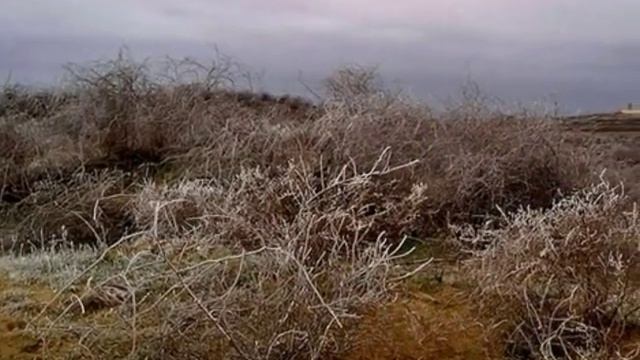 Пустыни России смотреть онлайн