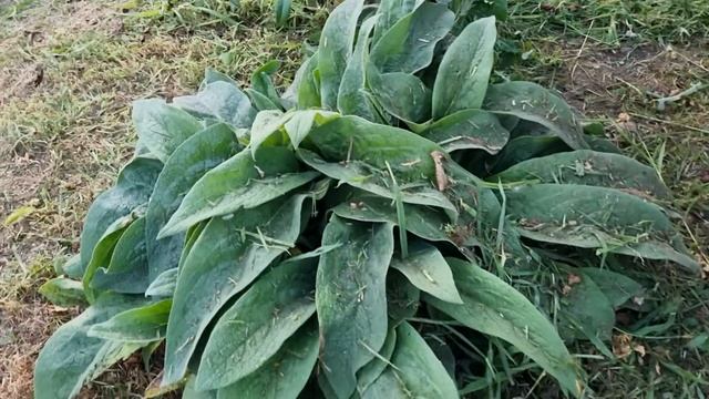 Секреты Умелых Рук