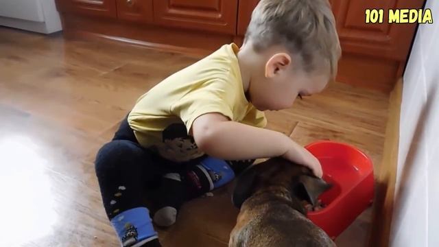  смотреть онлайн