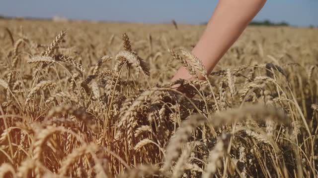 RENATA-STYLE ИЮЛЬ 2024 смотреть онлайн