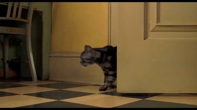 Stuart Little(Azərbaycanca Dublyaj)