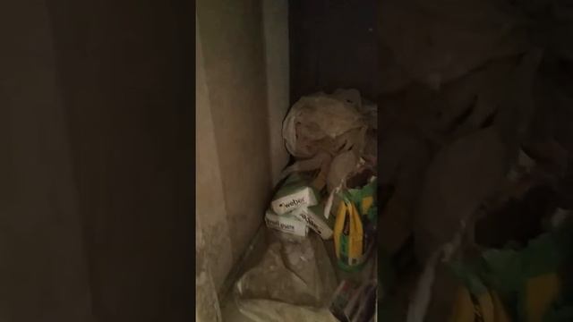 Отделка помещений Йошкар-Ола смотреть онлайн