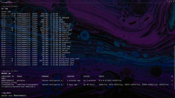 Docker полный курс от А до Я | От новичка до мидла с примерами на Python [Junior]
