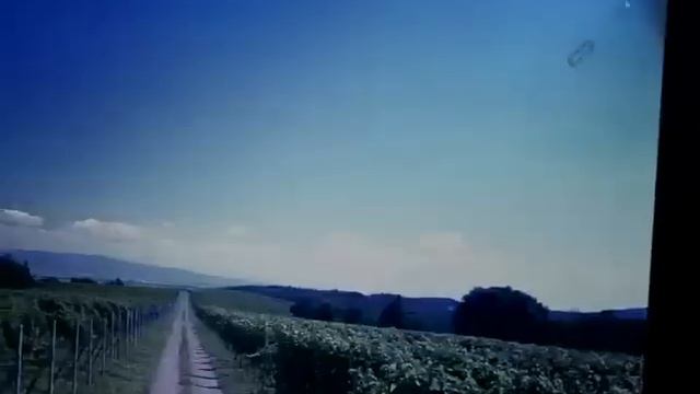 Outdoor Tf card Camera use guide смотреть онлайн