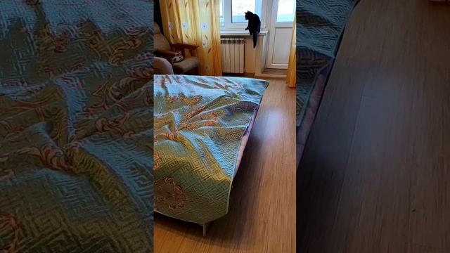 Прыжки замедленно смотреть онлайн