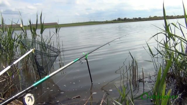Ловля сазана и карася весной. Рыбалка на поплавочную удочку. смотреть онлайн