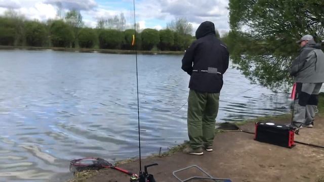 Лобня.Луговая. Рыболовный клуб Зелёный берег. Рыбалка на форель.