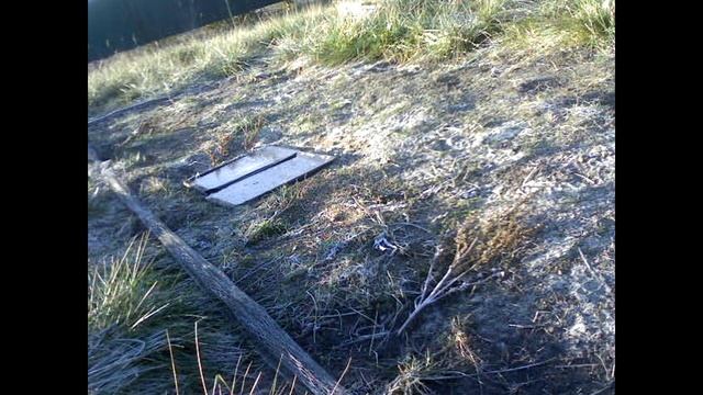 Ловля певчих птиц. Ловля тайником щеглов и реполовов. 2015 год. смотреть онлайн