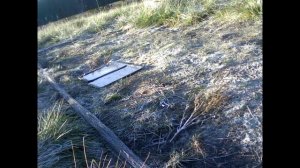 Ловля певчих птиц. Ловля тайником щеглов и реполовов. 2015 год.