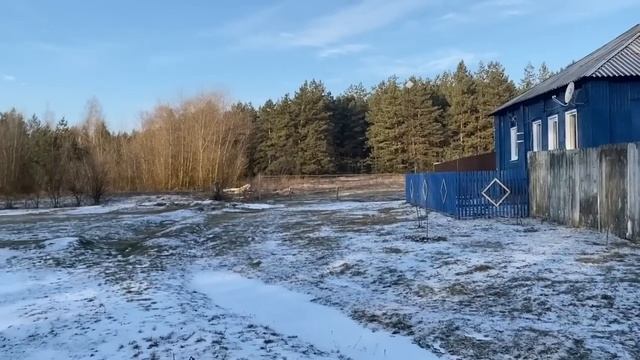 ГДЕ Я ПОКУПАЛА ГРЯДКИ, СЪЕЛА ДВЕ ТАРЕЛКИ КИСЕЛЯ, СОРТ ВКУСНЫХ АРБУЗОВ / ЖИЗНЬ НА ХУТОРЕ ЗИМОЙ смотреть онлайн