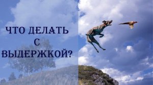 Придется поработать с собакой!