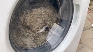 Stress test: EVEN HEAVIER carpet in Samsung washing machine!