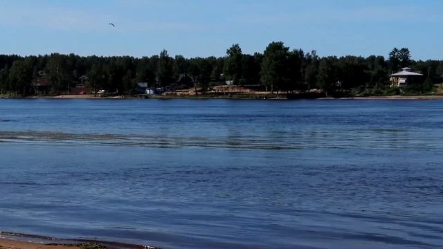 ПЛЯЖ НА НЕВЕ В ПОСЕЛКЕ ПАВЛОВО в Ленинградской области. 0+ смотреть онлайн