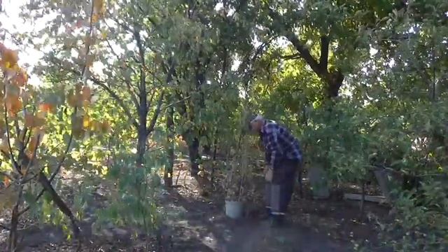 ОГУРЦЫ в ВЕДРЕ ЧТО ПОЛУЧИЛОСЬ смотреть онлайн