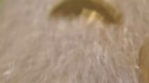 ВИБРОГАЛТОВКА - мини, ПРОСТАЯ САМОДЕЛКА !