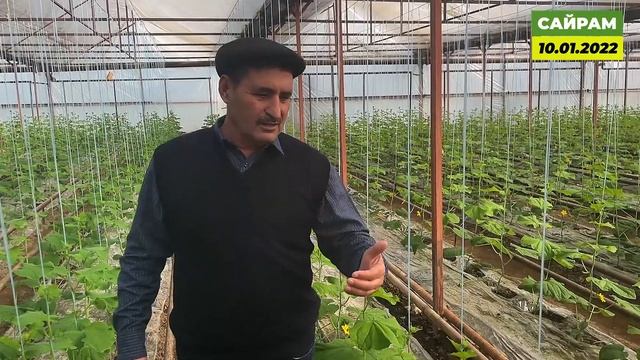 Ежегодные испытания - залог будущей максимальной прибыли ! смотреть онлайн