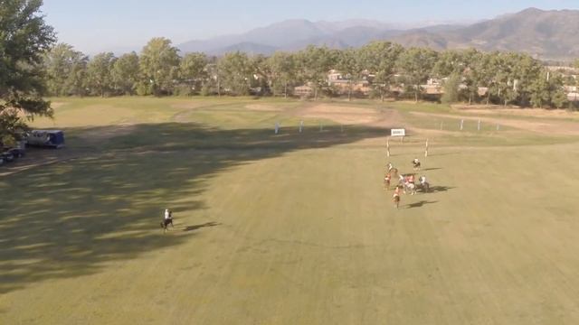 Polo final смотреть онлайн