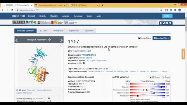 PDB Database Tutorial- A Beginners Guide смотреть онлайн