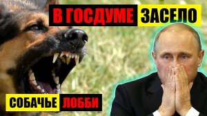 ПУТИН ОТЧИТАЛ РУКОВОДСТВО РЕГИОНА ЗА БЕЗДЕЙСТВИЕ... #пранки #пранк #приют #собаки #чиновник #госдума
