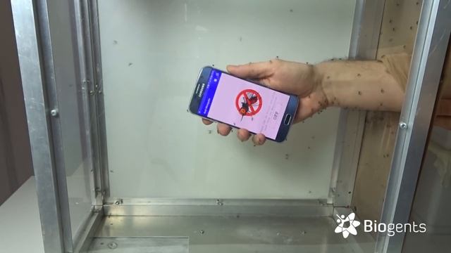Do ultrasound mosquito repellers work? смотреть онлайн