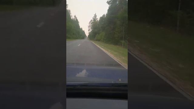 Саров трасса Первомайск Дивеево все в дыму, горит около Берещено смотреть онлайн