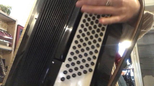 Scandalli Gold Black 120 Bass смотреть онлайн