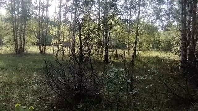 А могло быть больше смотреть онлайн