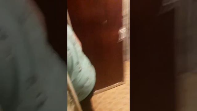 Што делать куда абртса на помш жалкая дедим смотреть онлайн