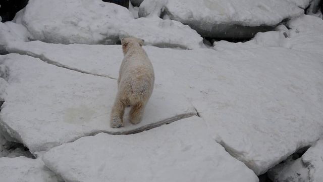С Новогодним приветом от милого семейства! смотреть онлайн