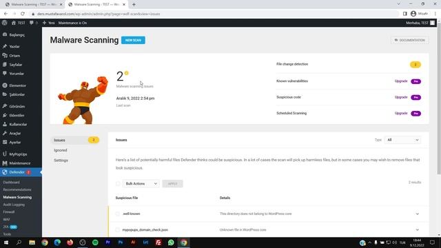 WordPress Zararlı Kod Temizleme смотреть онлайн