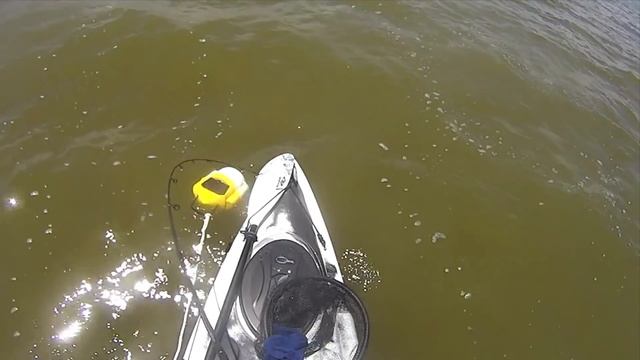 Have You Tried This Inshore Rod? (Calico Jack Review) смотреть онлайн