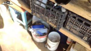 ЕСЛИ УВИДЕЛ белый НАЛЕТ на КРЫШКЕ ДВИГАТЕЛЯ ❗❗❗❗ Эмульсия  на маслозаливной крышке