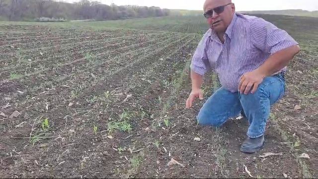 Вести с полей смотреть онлайн