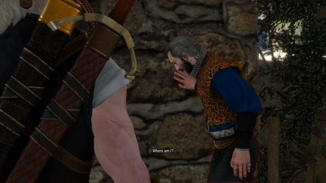 The Witcher 3 gtx 970 i5-4460 gameplay смотреть онлайн