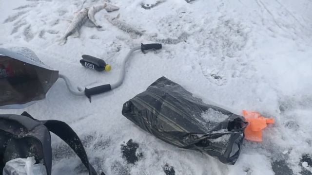 ЧТО ЖЕ Я ТАК РАНЬШЕ НЕ ЛОВИЛ! ЖЕРЛИЦА БУТЫЛКА БЬЁТ РЕКОРДЫ! РЫБАЛКА на щуку на живца с Жерлицами!!! смотреть онлайн