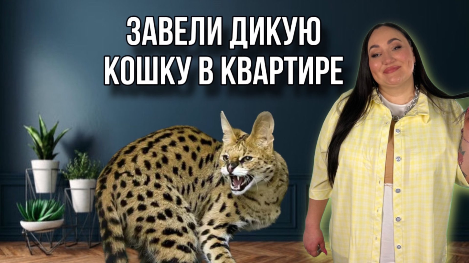 Сервал по имени Наташа 🐆 смотреть онлайн