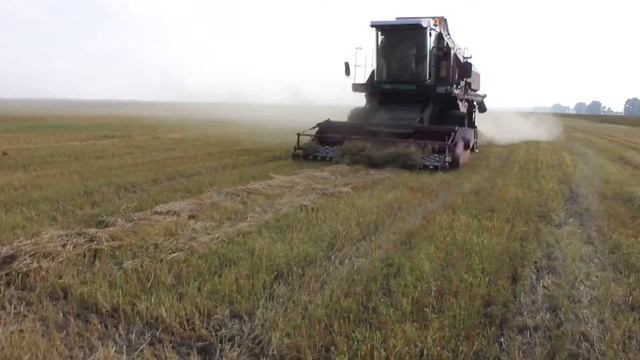 Молотим овёс голозёрный смотреть онлайн