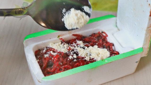 Мотыль перестает лопаться на крючке! Насыпьте этот порошок в мотыля перед рыбалкой уловистость супе смотреть онлайн