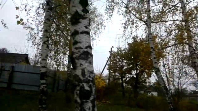 р.Случ Новоград-Волынский дамба смотреть онлайн