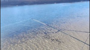 Шамайка на дону.рыбалка плюс бонус