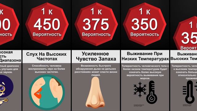 Сравнение Вероятностей: Эволюция Человека