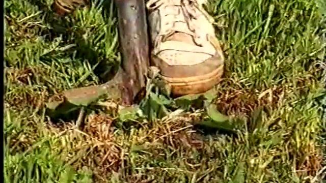 Как собрать растения смотреть онлайн