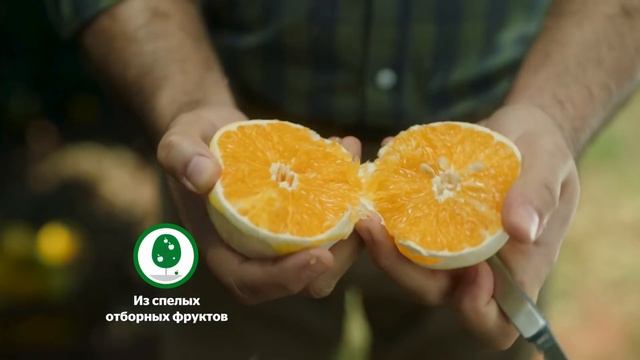 «Добрый»: секреты производства. Из чего сделаны наши соки и нектары? смотреть онлайн