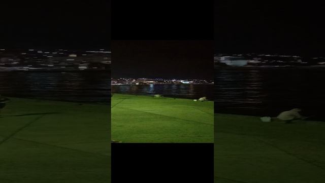 #Крым Ялта набережная имени Ленина смотреть онлайн