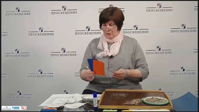 Как подготовить собранные семена цветов для хранения? Разбор и фасовка семян смотреть онлайн